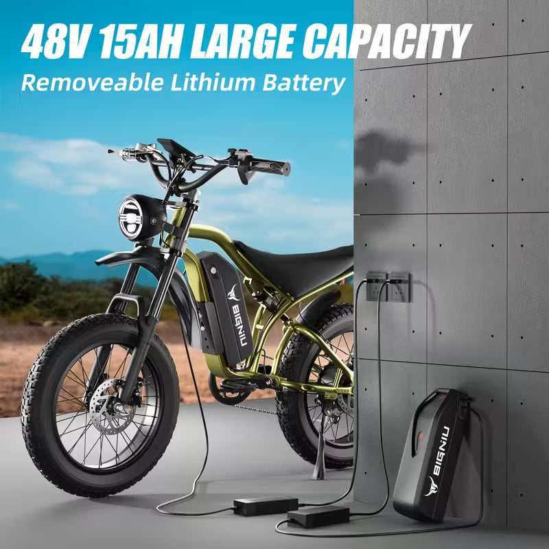 BIGNIU Ebike | 20" Tires | Stylish Mountain Bike