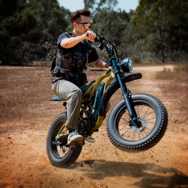 BIGNIU Ebike | 20" Tires | Stylish Mountain Bike