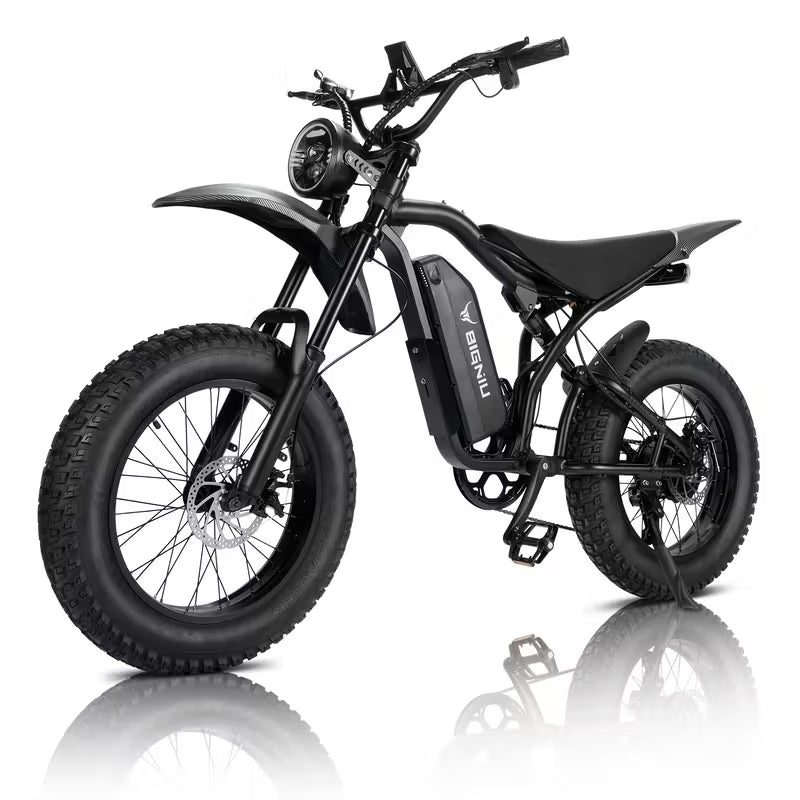 BIGNIU Ebike | 20" Tires | Stylish Mountain Bike