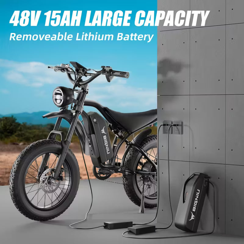 BIGNIU Ebike | 20" Tires | Stylish Mountain Bike