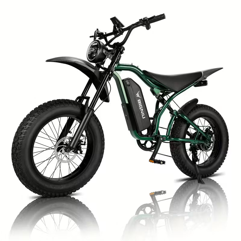 BIGNIU Ebike | 20" Tires | Stylish Mountain Bike