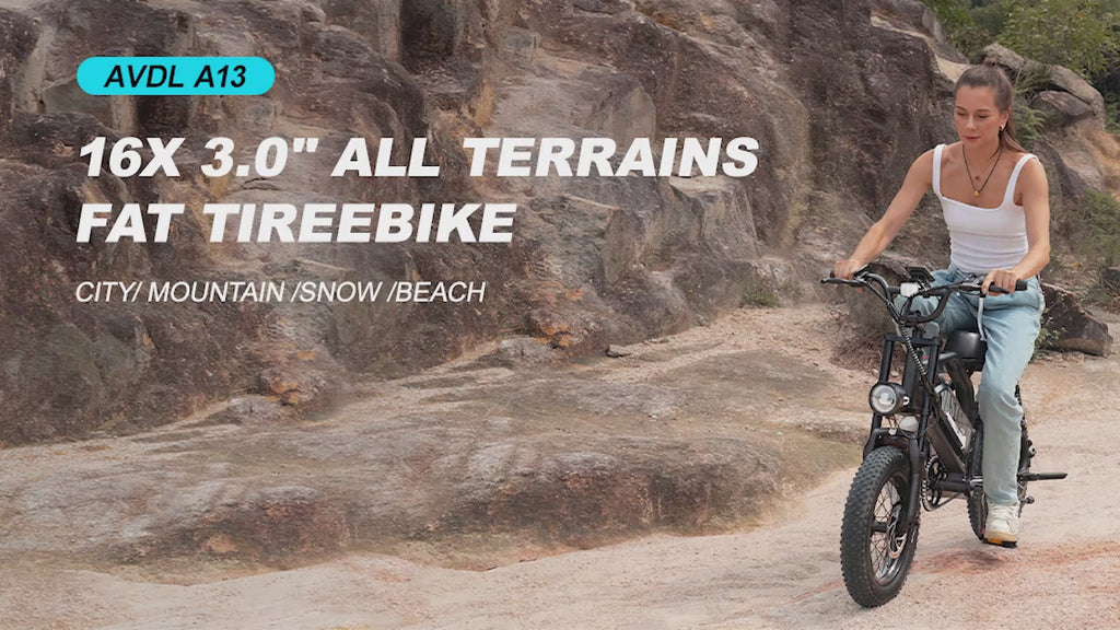 VDL A13 Electric Bike – 500W- 16" Tires